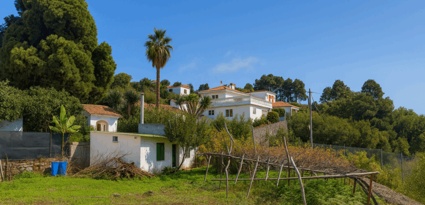 Urokliwa finca w La Florida – działka 1966 m² z budynkiem 32 m²