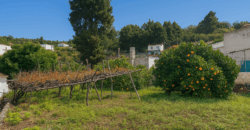 Urokliwa finca w La Florida – działka 1966 m² z budynkiem 32 m²