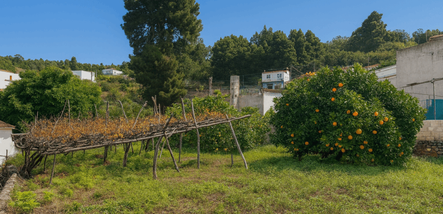 Urokliwa finca w La Florida – działka 1966 m² z budynkiem 32 m²