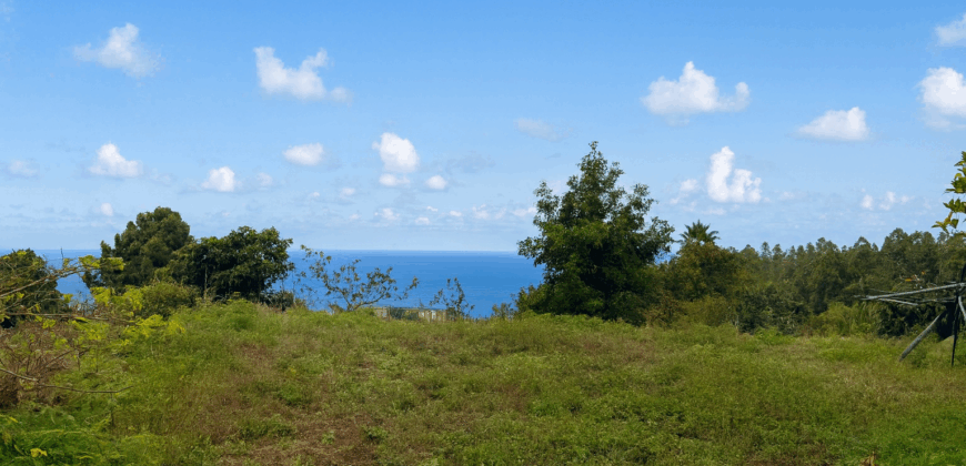 Urokliwa finca w La Florida – działka 1966 m² z budynkiem 32 m²