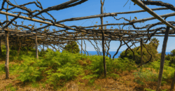 Urokliwa finca w La Florida – działka 1966 m² z budynkiem 32 m²