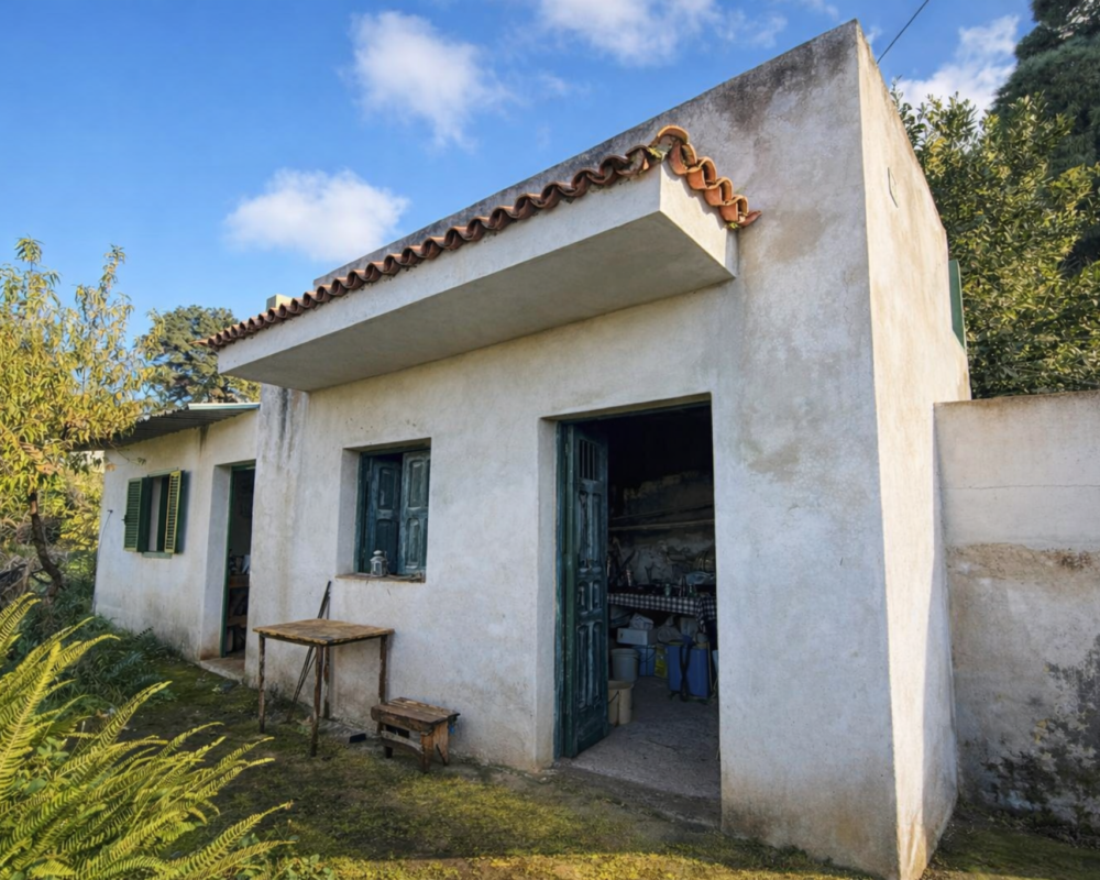 Encantadora finca en La Florida – terreno de 1966 m² con casa de 32 m²
