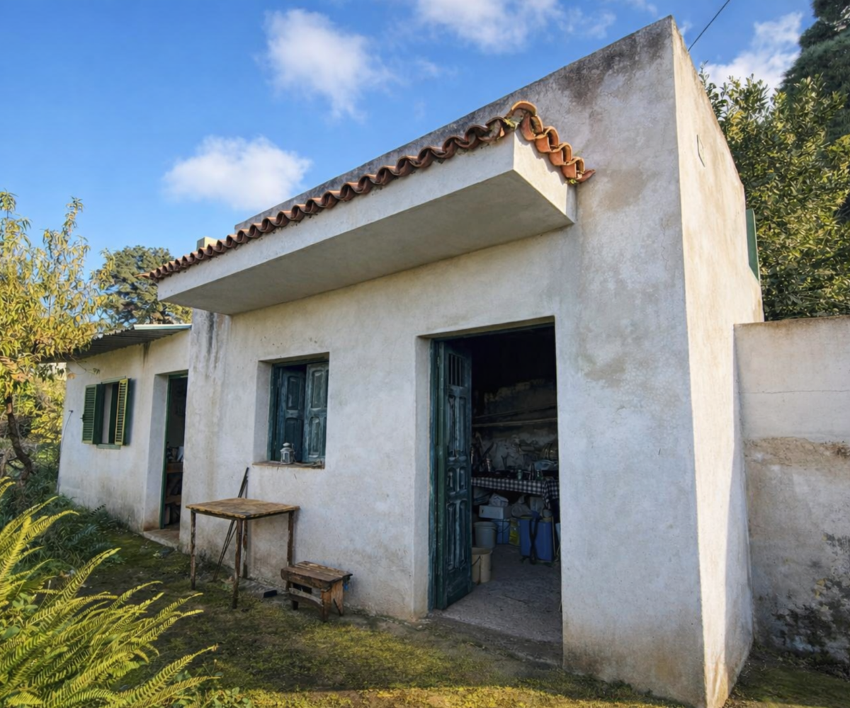 Encantadora finca en La Florida – terreno de 1966 m² con casa de 32 m²
