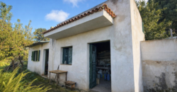 Charming finca in La Florida – 1,966 m² plot with 32 m² building