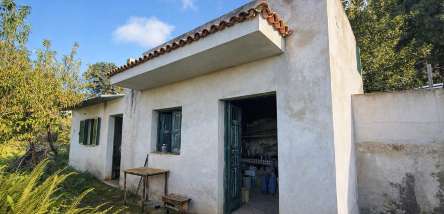 Charming finca in La Florida – 1,966 m² plot with 32 m² building