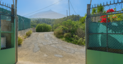 Finca rústica con edificaciones y gran potencial