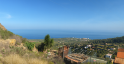 Finca rústica con edificaciones y gran potencial