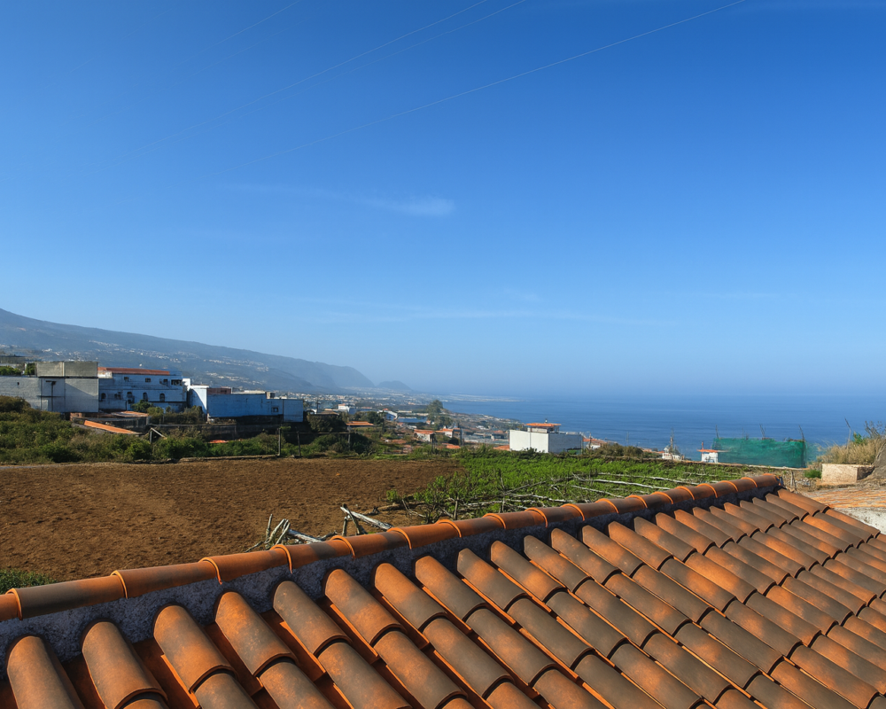 Finca rústica con edificaciones y gran potencial