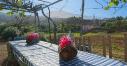 Finca rústica con edificaciones y gran potencial