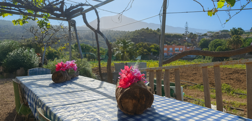 Finca rústica con edificaciones y gran potencial