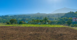 Finca rústica con edificaciones y gran potencial