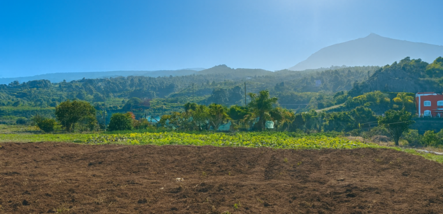 Finca rústica con edificaciones y gran potencial