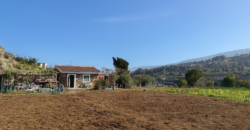 Finca rústica con edificaciones y gran potencial