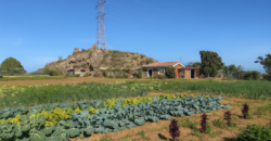 Finca rústica con edificaciones y gran potencial