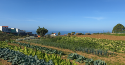 Finca rústica con edificaciones y gran potencial