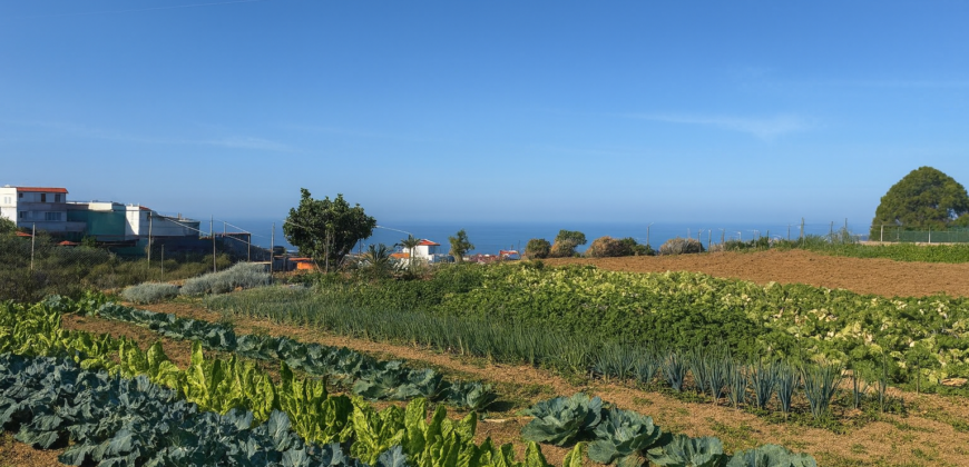 Finca rústica con edificaciones y gran potencial