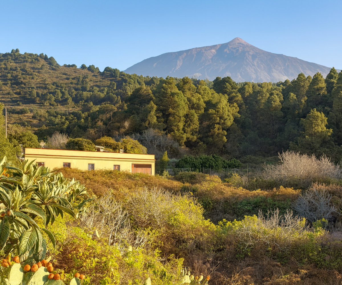 Independent House with Panoramic Ocean & Teide Views – La Guancha – 1000 m² Plot