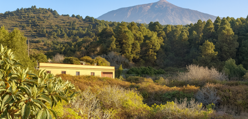 Independent House with Panoramic Ocean & Teide Views – La Guancha – 1000 m² Plot
