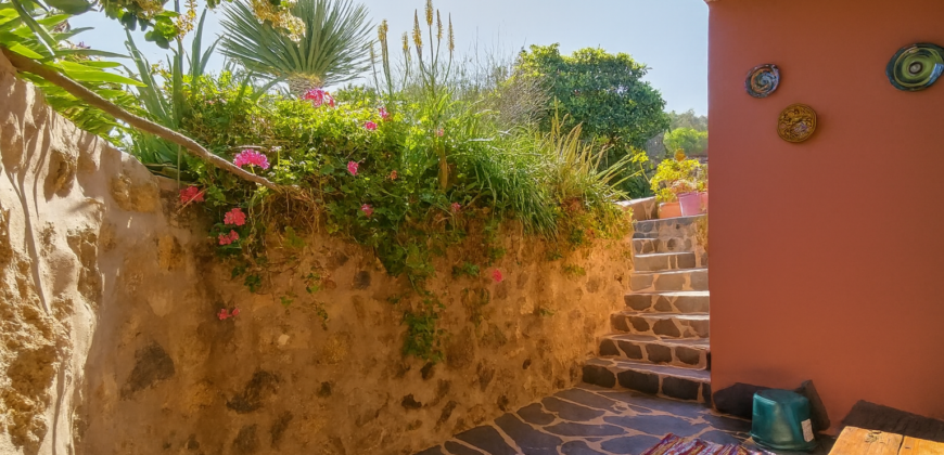 Niezależny dom z panoramicznym widokiem na ocean i Teide – La Guancha – działka 1000 m²