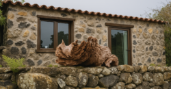 Niezależny dom z panoramicznym widokiem na ocean i Teide – La Guancha – działka 1000 m²