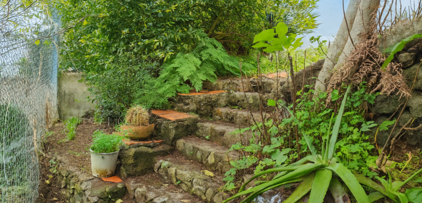 Niezależny dom z panoramicznym widokiem na ocean i Teide – La Guancha – działka 1000 m²