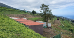 Finca rústica con vistas al océano- LA VEGA- Norte de Tenerife