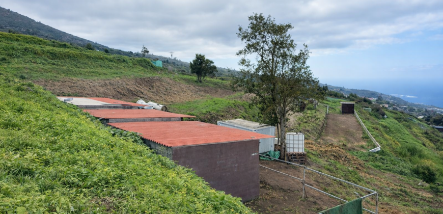 Finca rústica con vistas al océano- LA VEGA- Norte de Tenerife