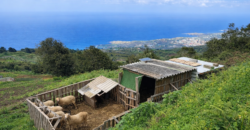 Finca rústica con vistas al océano- LA VEGA- Norte de Tenerife