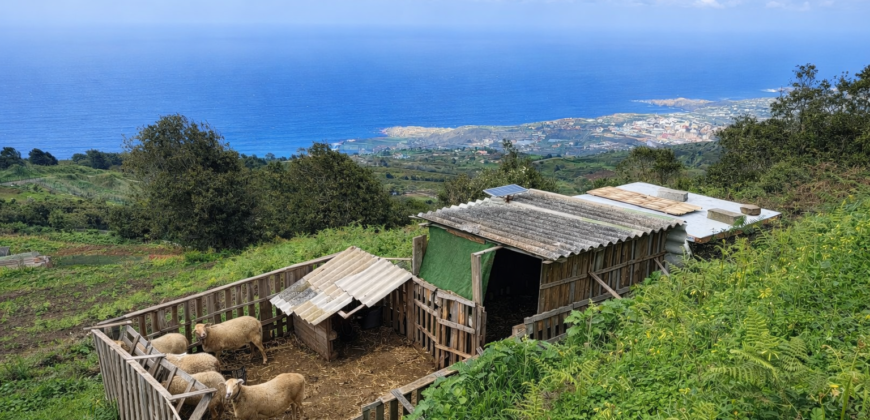 Finca rústica con vistas al océano- LA VEGA- Norte de Tenerife