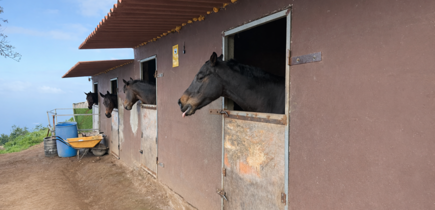 Finca rústica con vistas al océano- LA VEGA- Norte de Tenerife