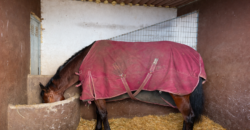 Finca rústica con vistas al océano- LA VEGA- Norte de Tenerife