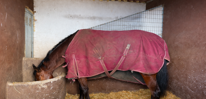 Finca rústica con vistas al océano- LA VEGA- Norte de Tenerife