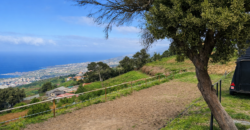 Finca rústica con vistas al océano- LA VEGA- Norte de Tenerife