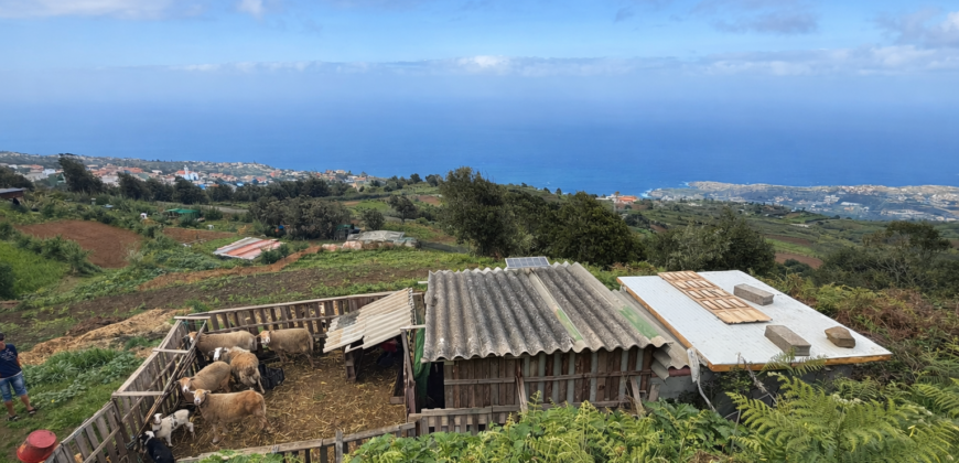 Finca rústica con vistas al océano- LA VEGA- Norte de Tenerife
