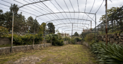 Casa con terreno y vistas al océano – Santa Bárbara